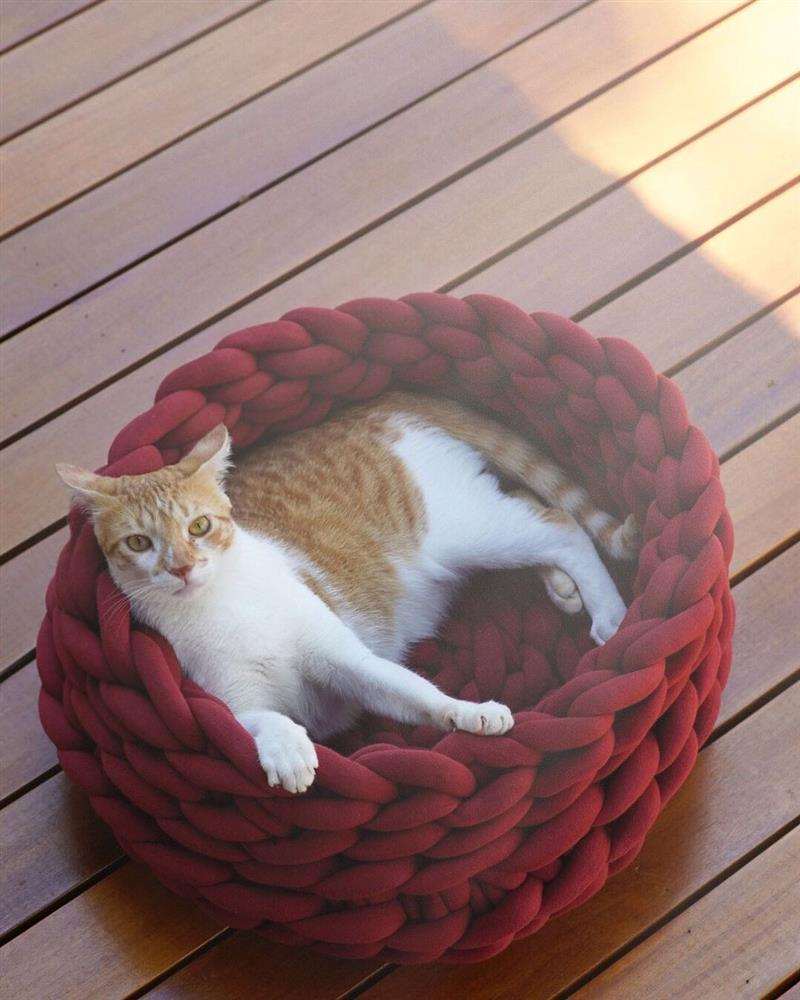 cama para gato de maxi tricot