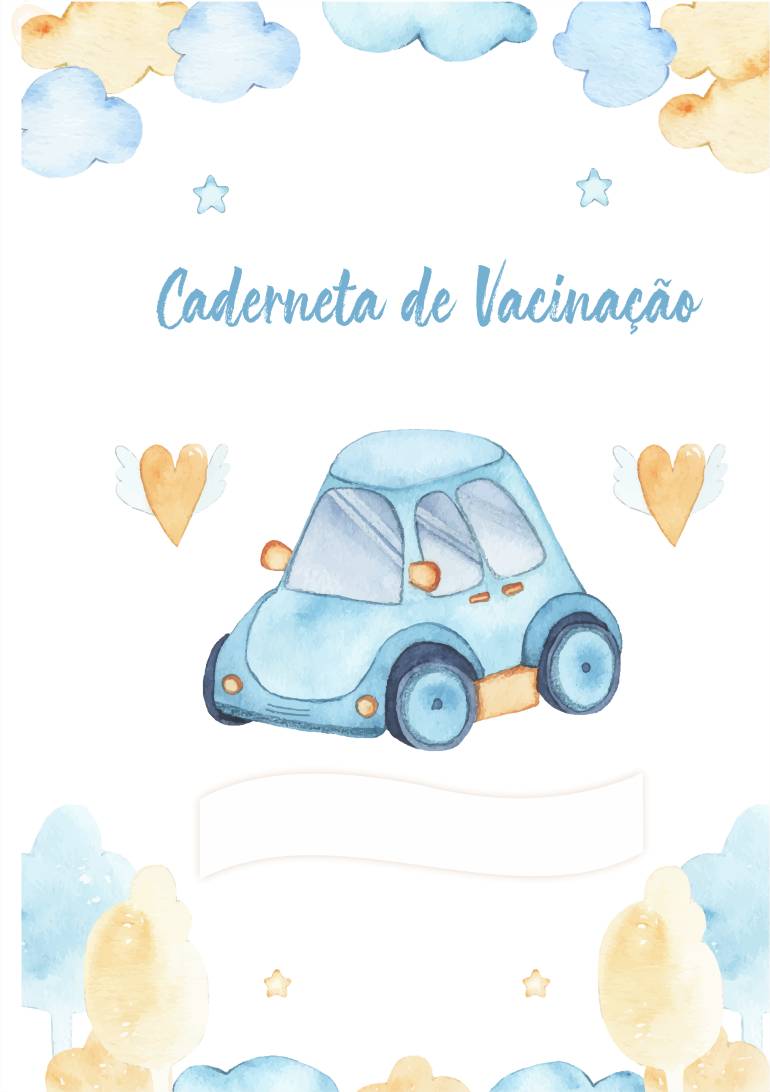 caderneta de vacinação carro menino