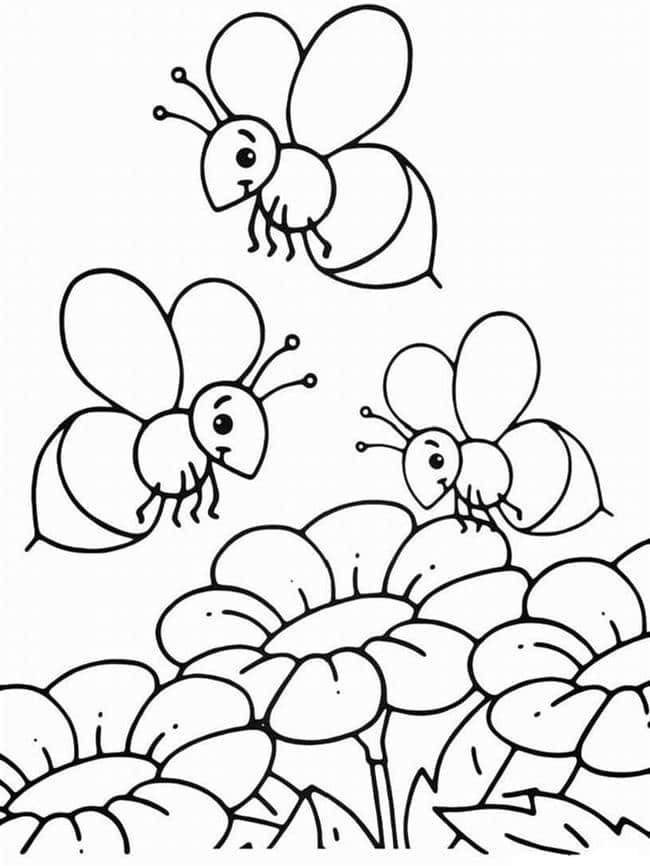 desenhos para colorir abelha e flor