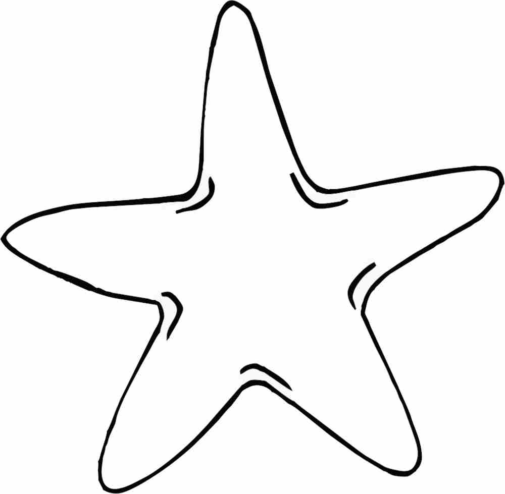 Molde estrela do mar EVA