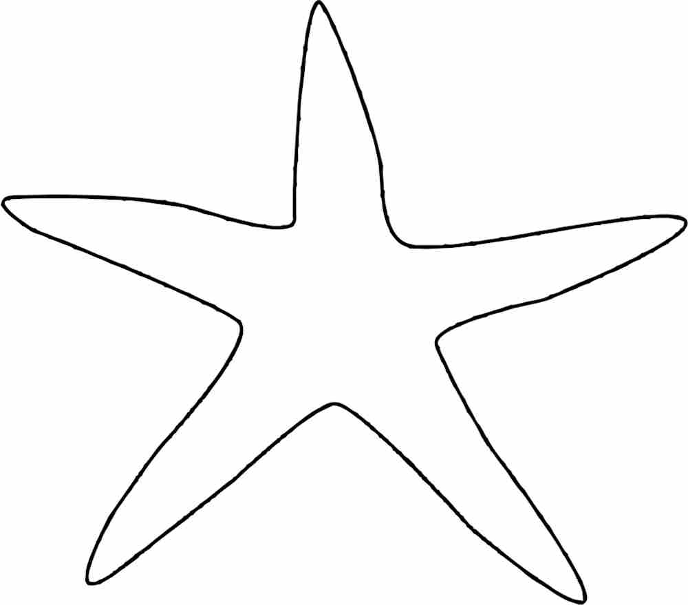 molde estrela do mar grande