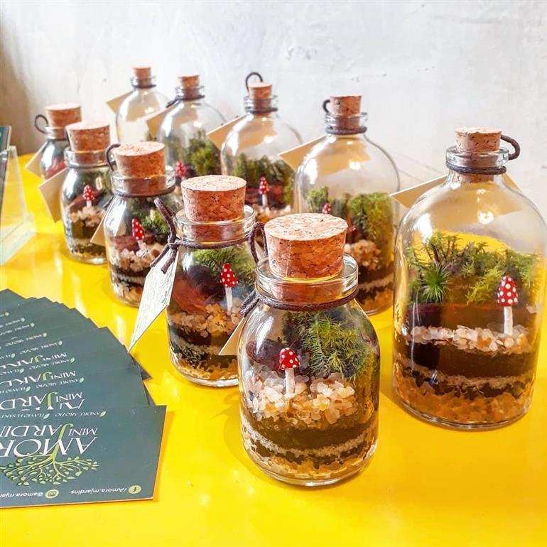 mini terrário