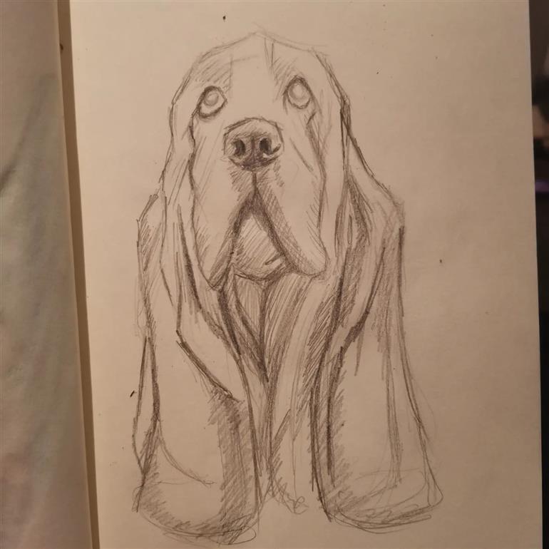 desenhos de fazer no caderno animais