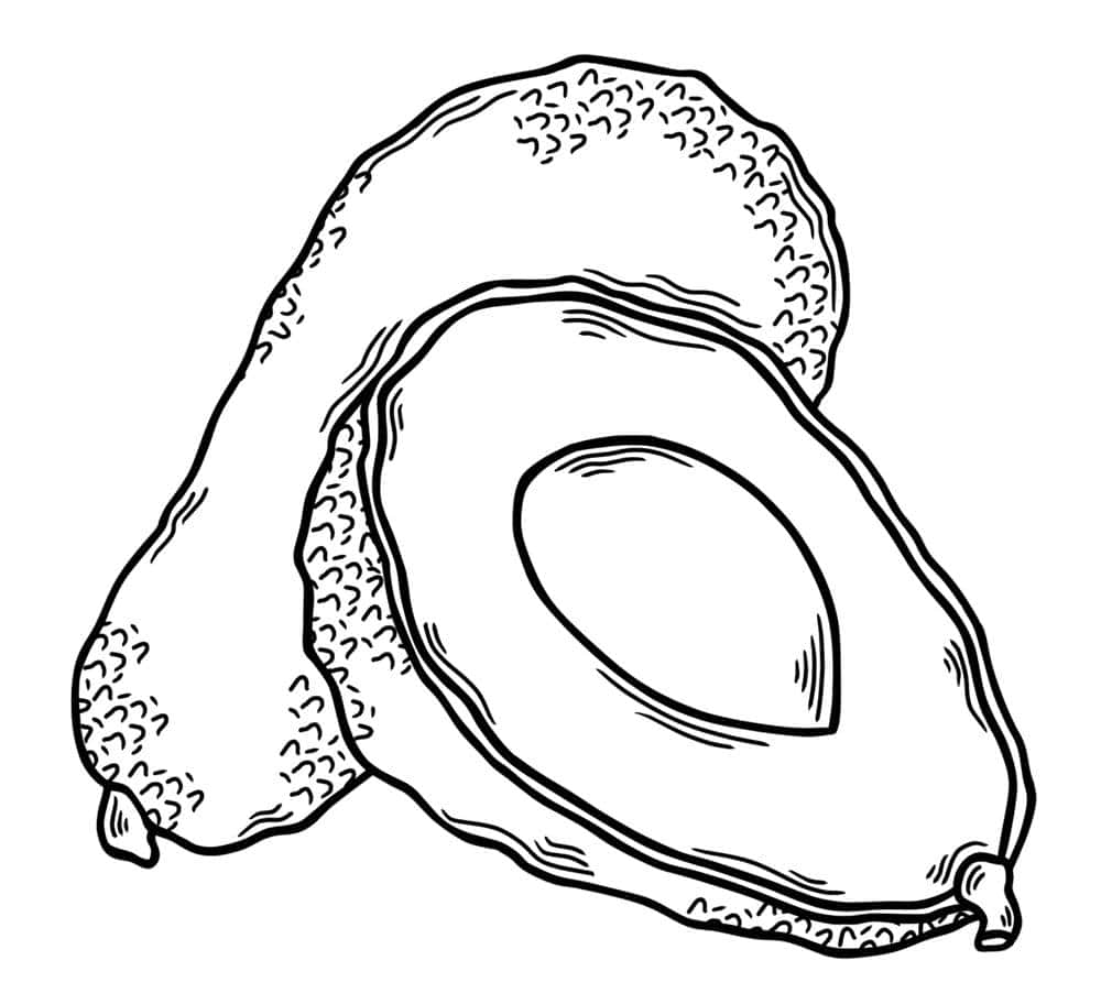 Desenho de abacate para colorir