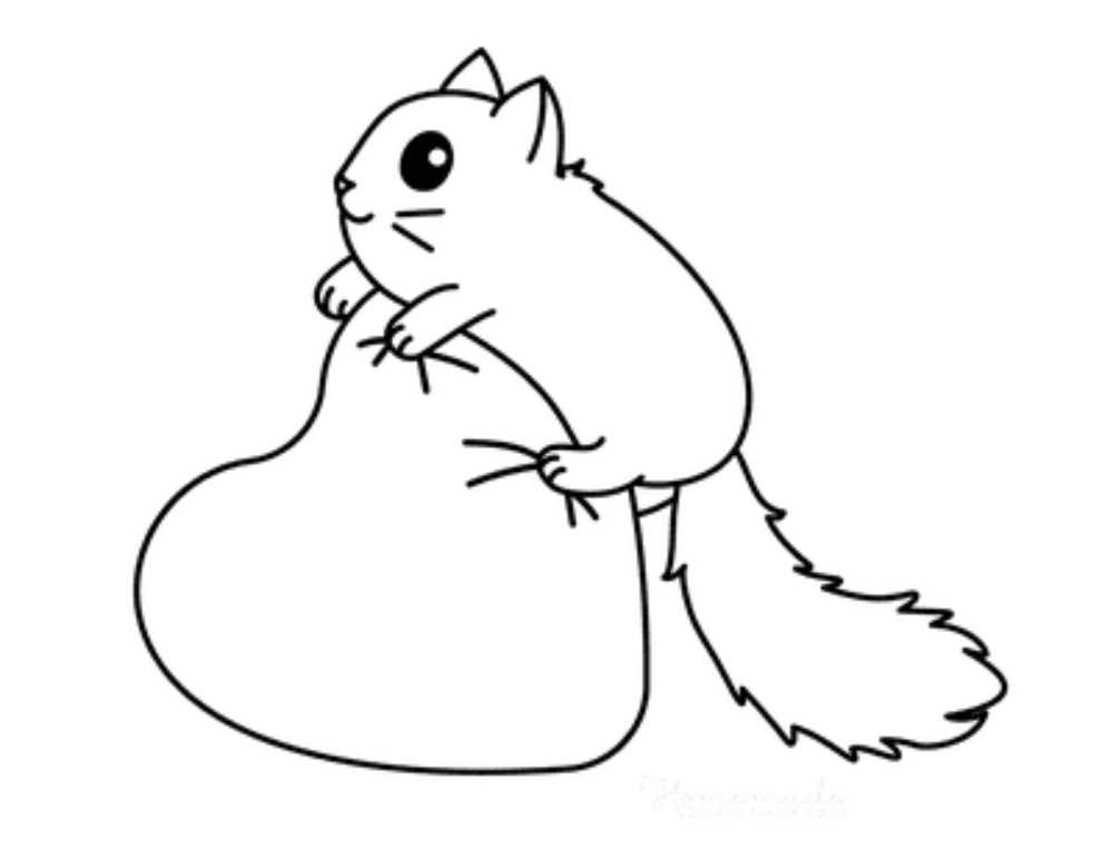 Esquilo com coração