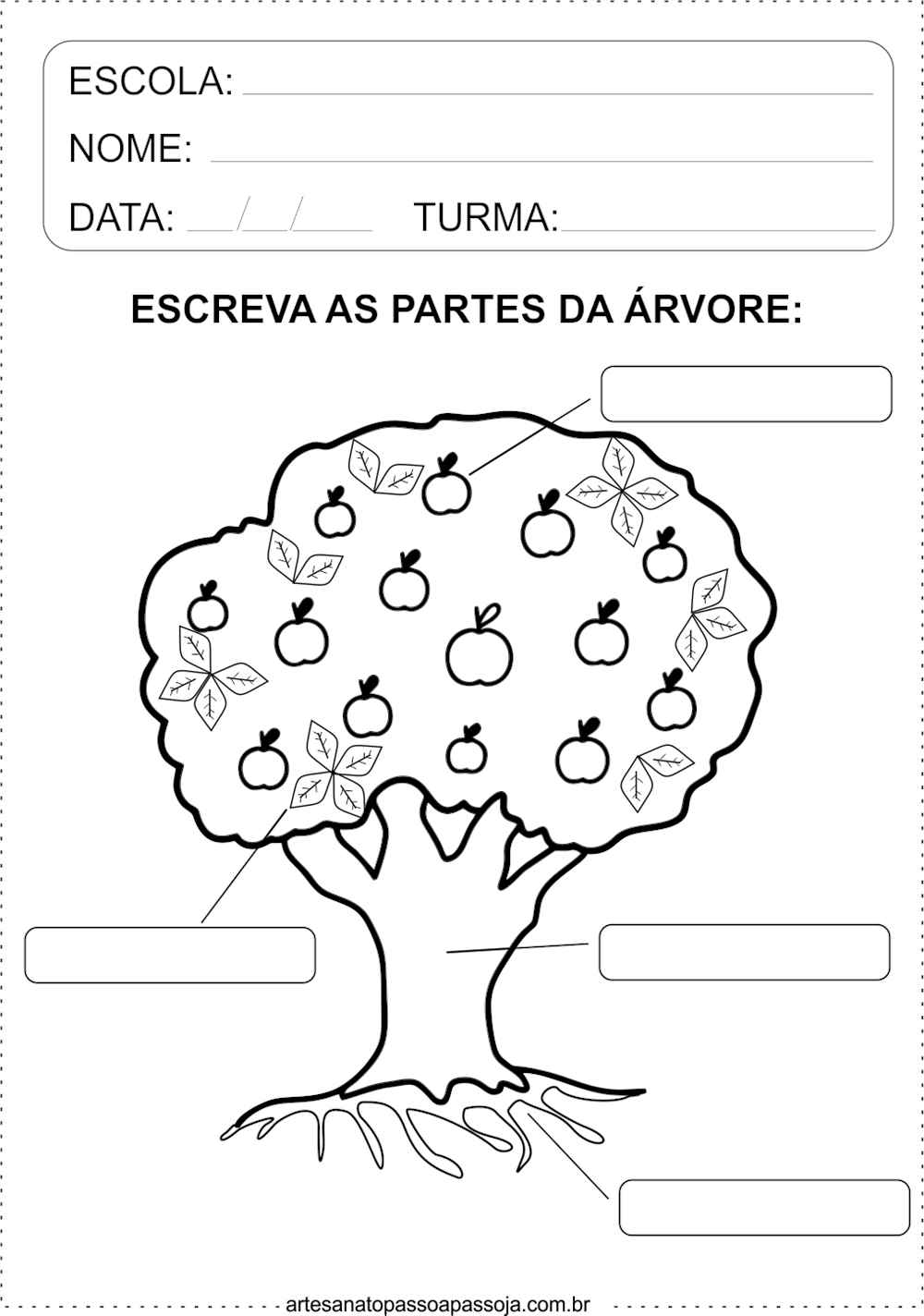 atividade de ciencias dia da arvore