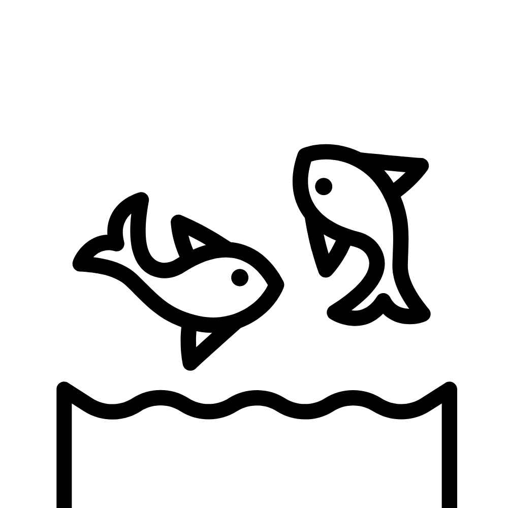 peixe pulando na agua