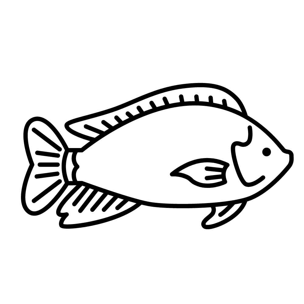 desenho de peixe para colorir