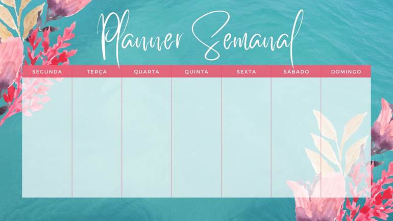 Planner organização semanal verde água