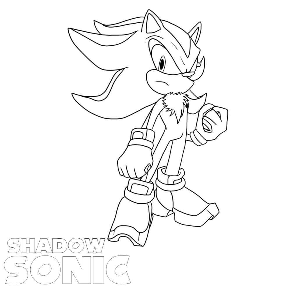 Desenhos do Shadow the Hedgehog para Colorir  Shadow the hedgehog, Imagens  de sombra, Desenhos para colorir