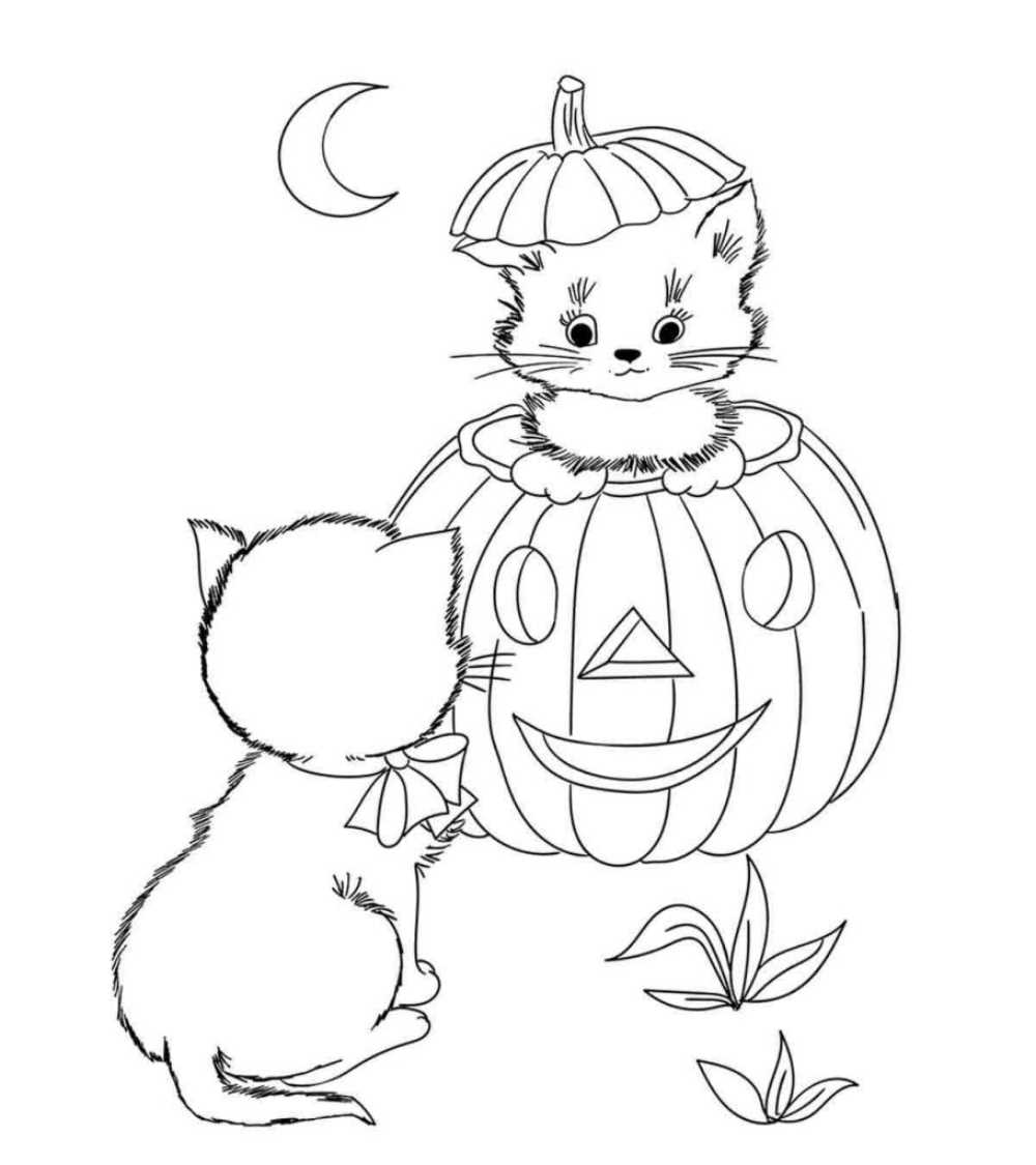 Desenho Halloween gatos para colorir
