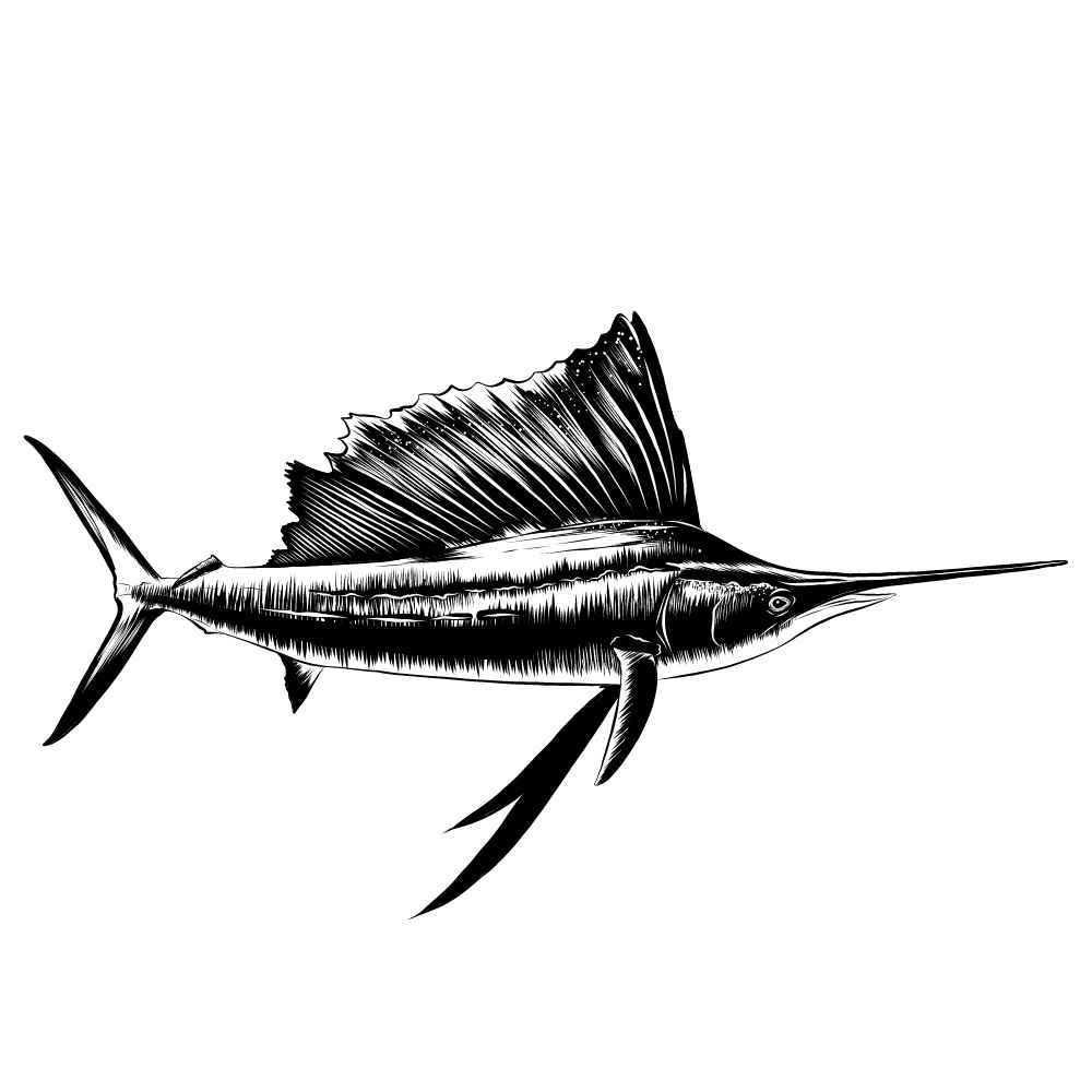 marlin