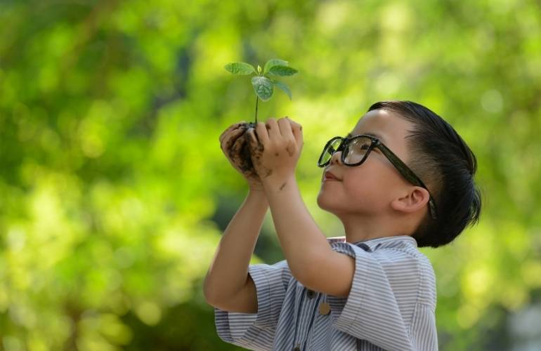 Plantando no dia da árvore