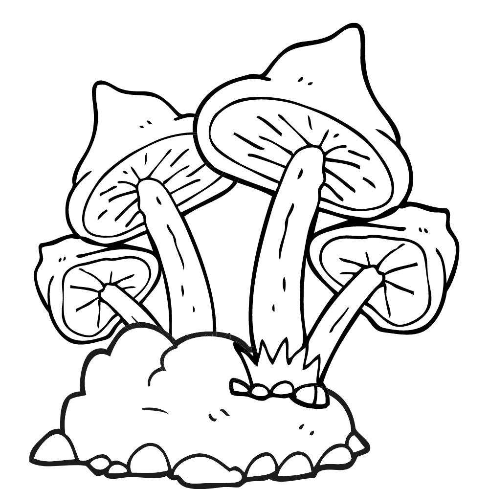 Cogumelos para desenhar