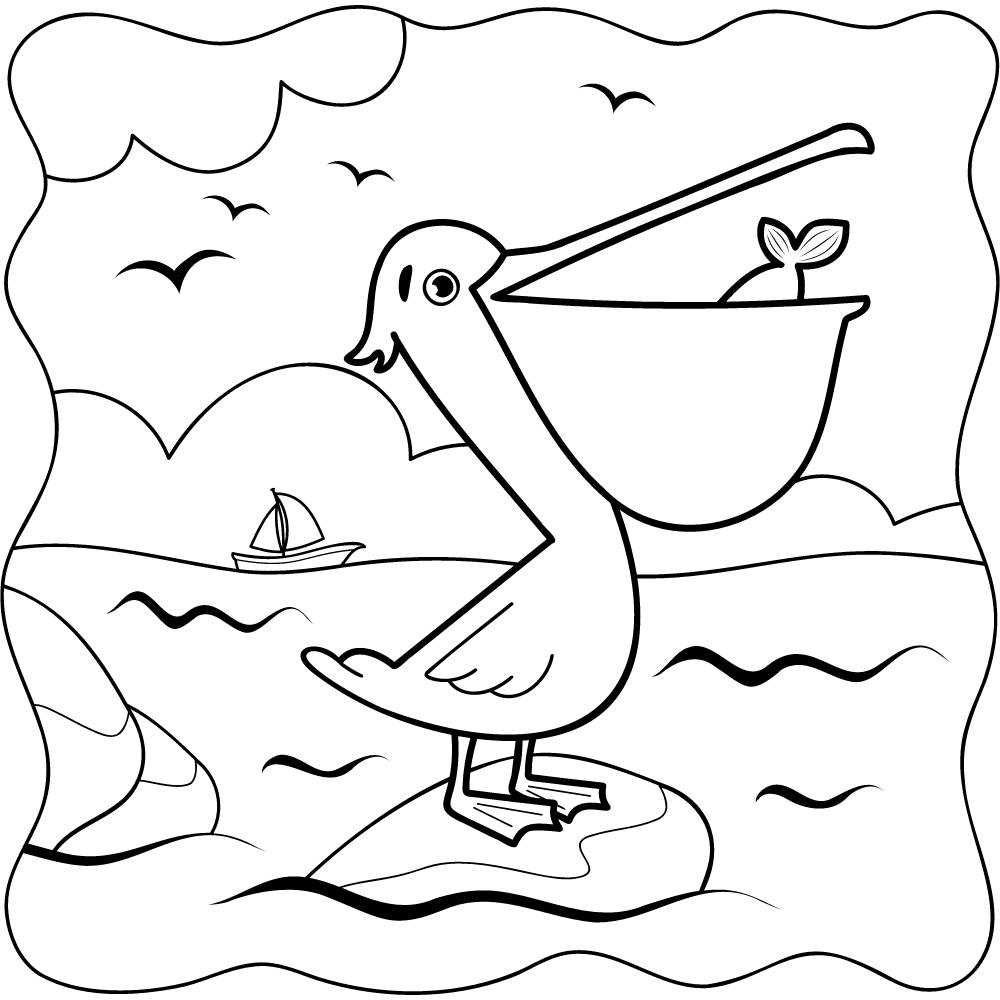 Как нарисовать пеликана
