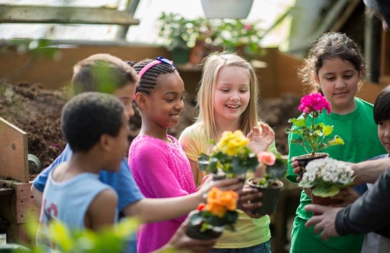 Crianças da educação infantil em floricultura 