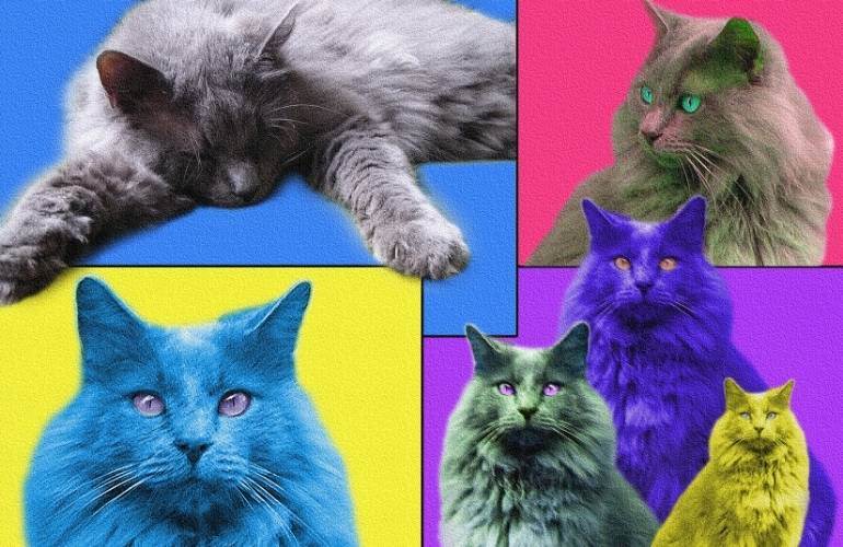 Pop art de gatos em diferentes posições
