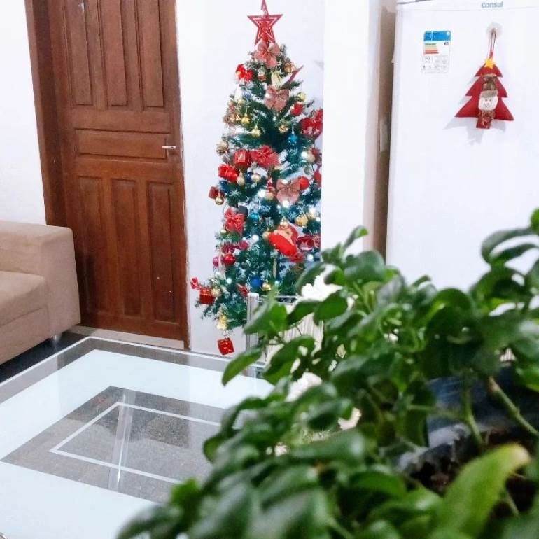 Árvore de natal com estrela vermelha