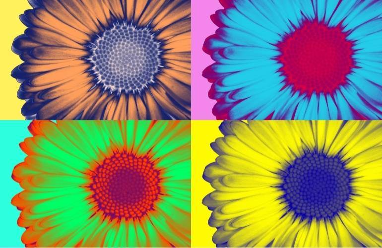 pop art flores