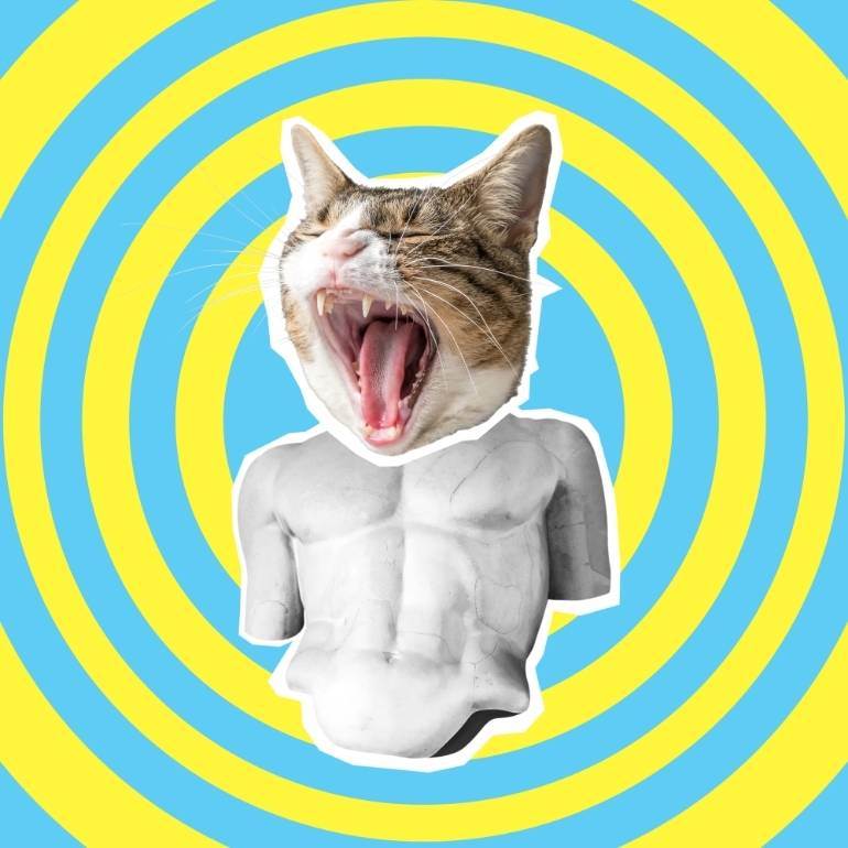 pop art gato