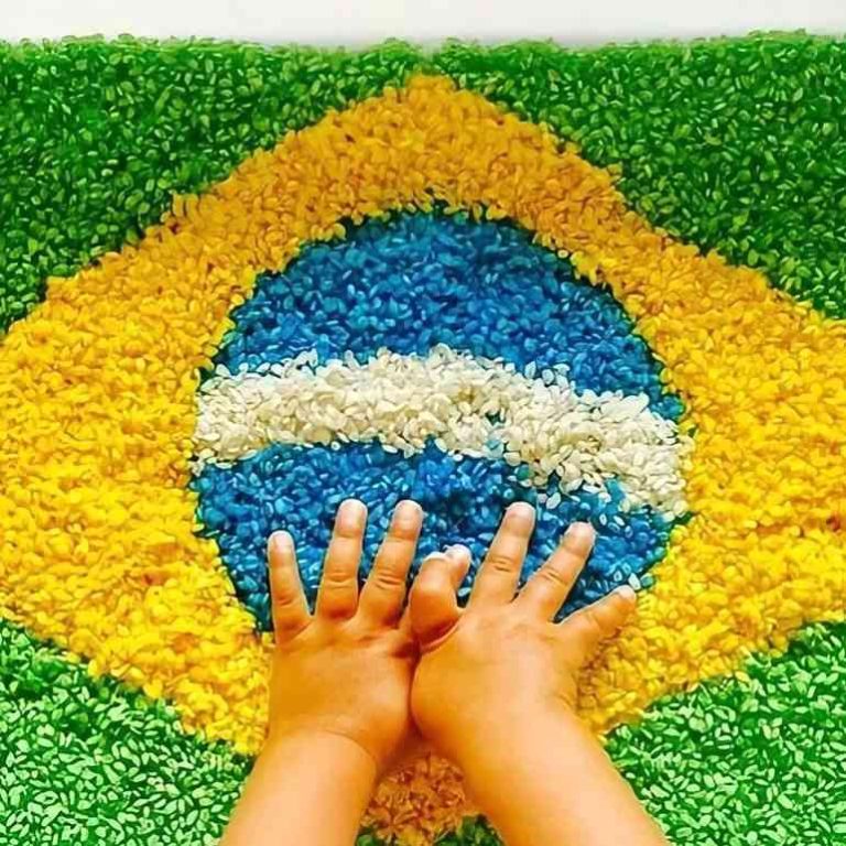 10 Atividades sobre o Dia da Bandeira no Brasil para educação infantil ...