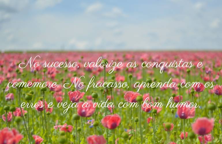 palavras motivacionais