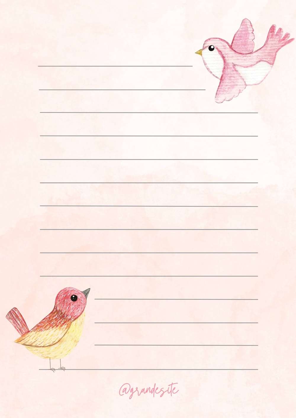 papel de pássaros