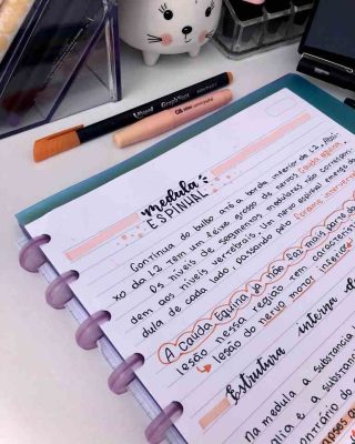 Caderno organizado: dicas +30 Ideias para deixar tudo bonito ...