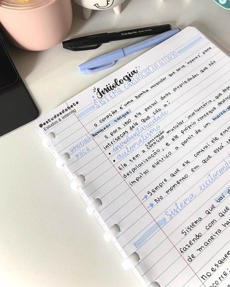 Caderno organizado: dicas +30 Ideias para deixar tudo bonito ...