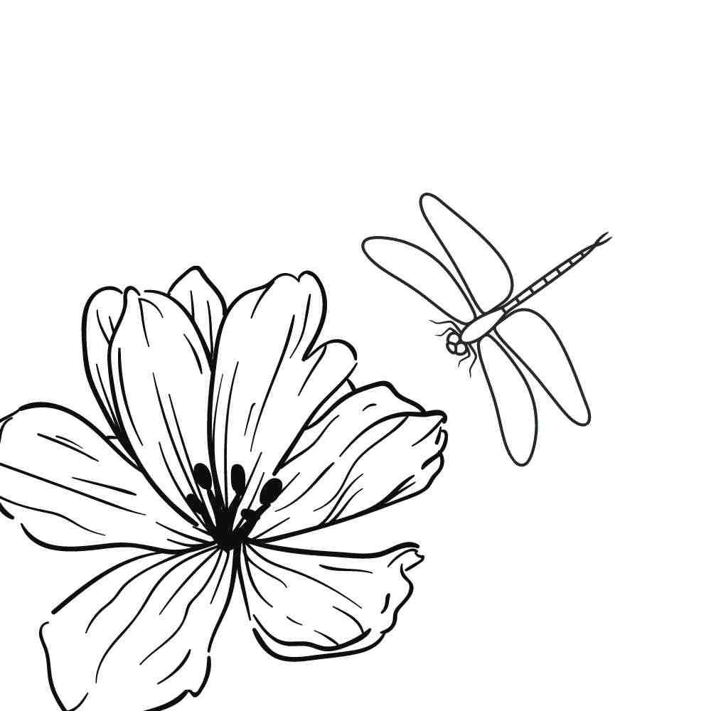 desenho de inseto