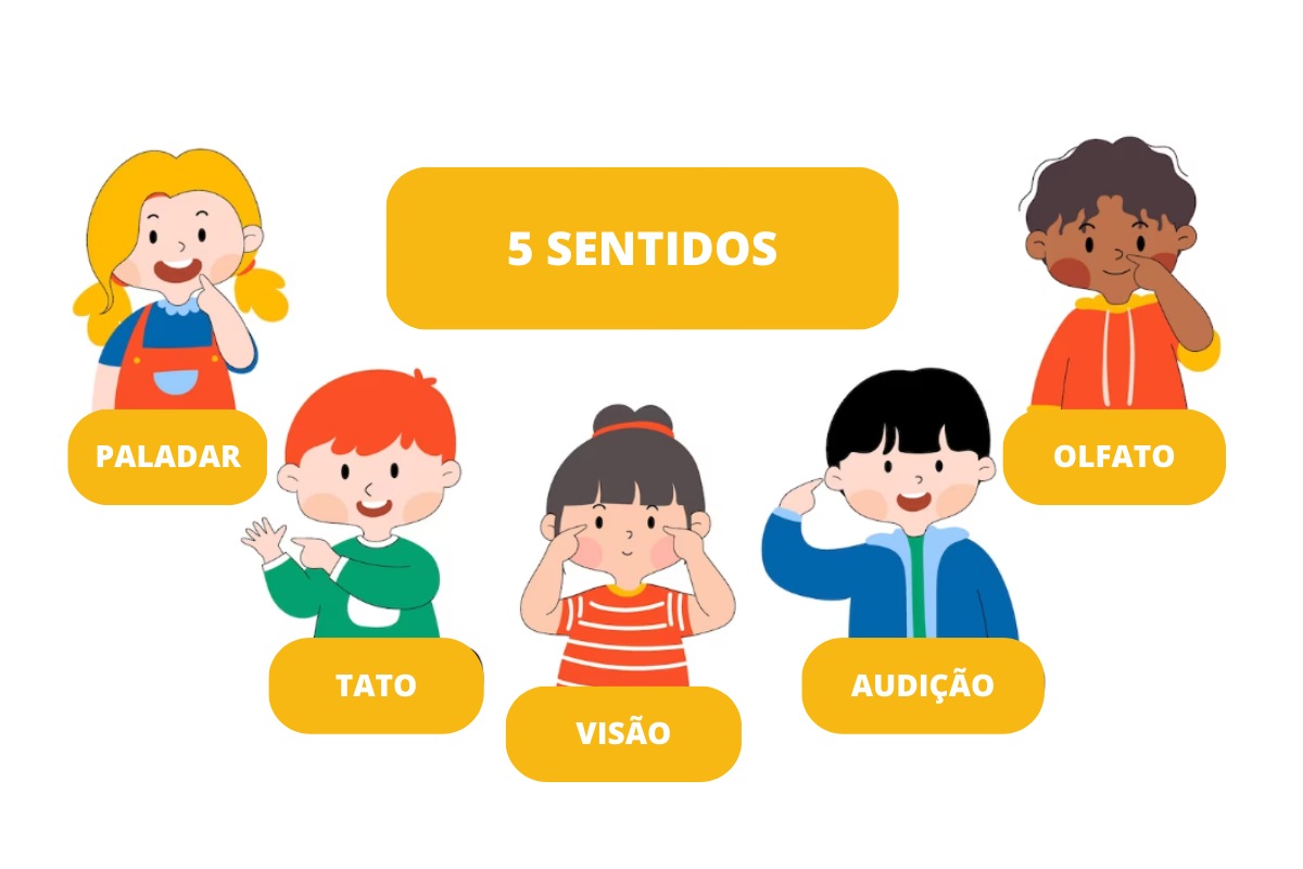 porque trabalhar os 5 sentidos na educação infantil