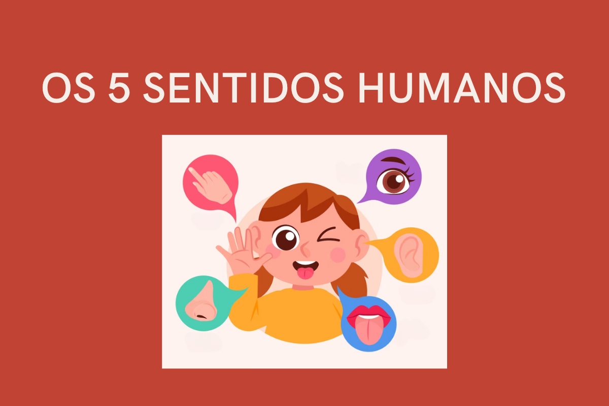 atividades sobre os 5 sentidos educação infantil