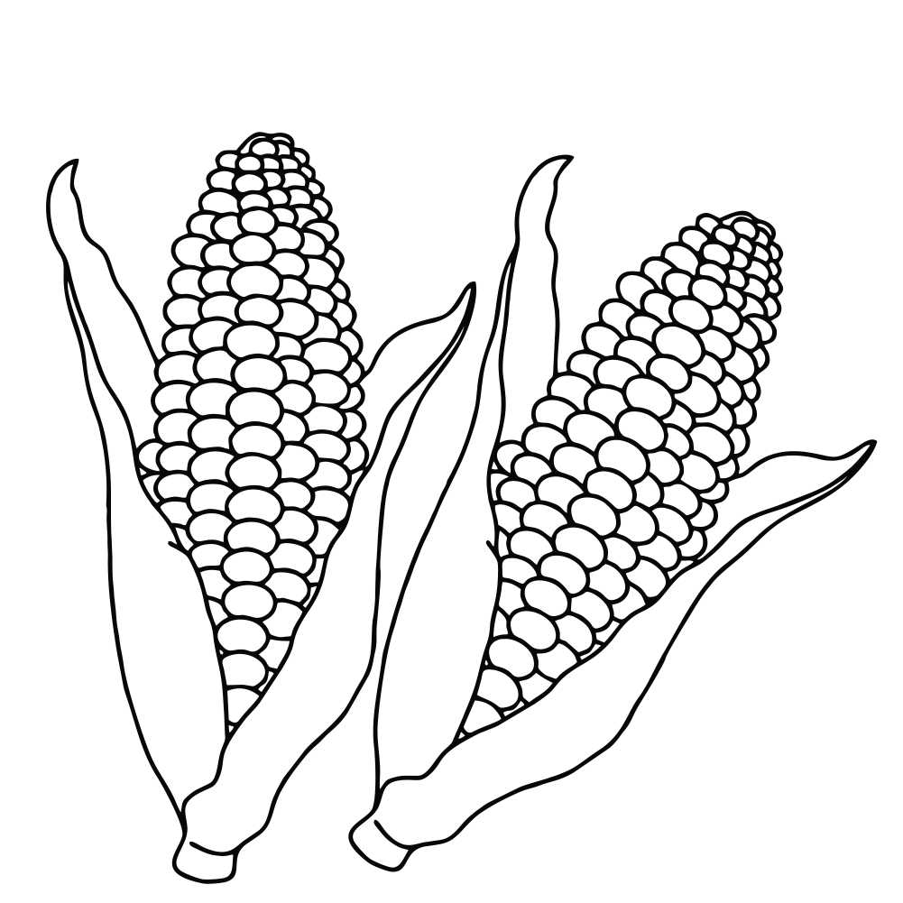 desenho de milho