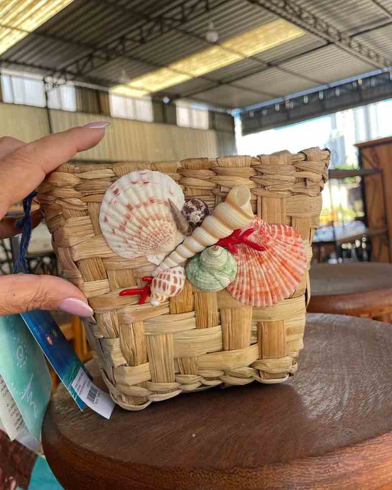 Bolsa de conchas do mar