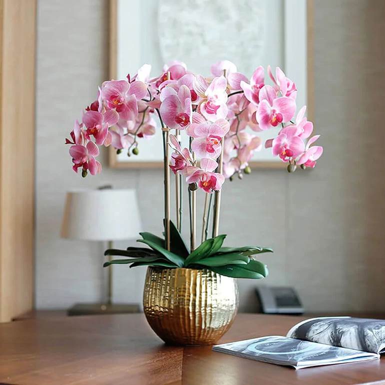Flores orquideas