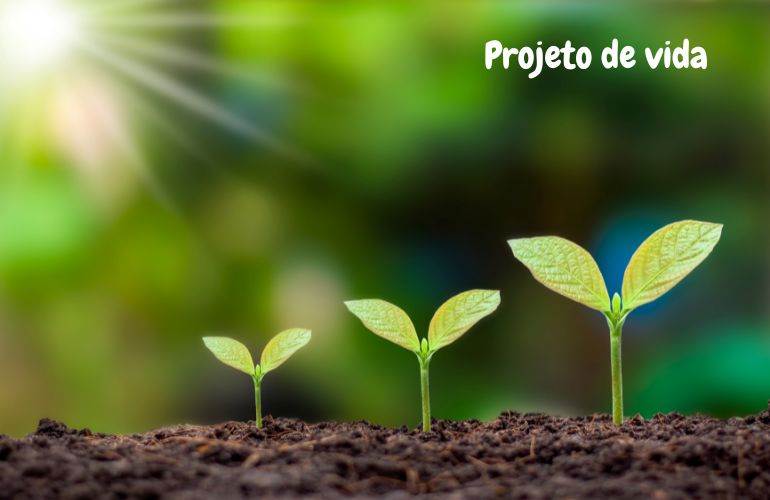 atividades projeto de vida para imprimir meio ambiente
