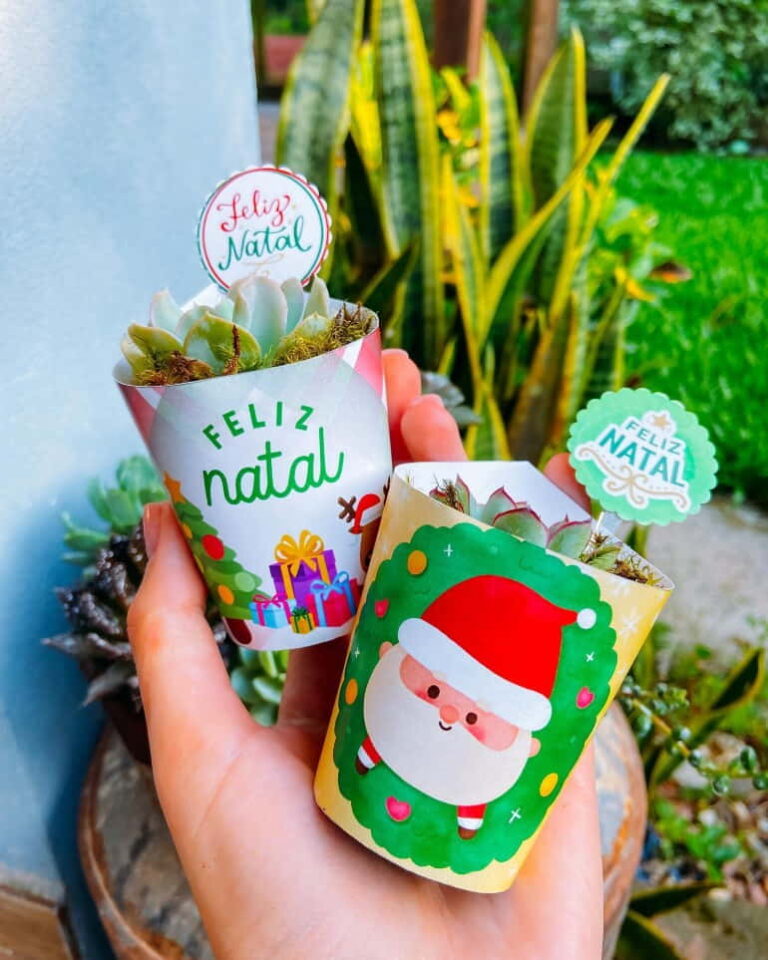 Lembrancinhas de Natal para professores: 33 ideias fantásticas ...