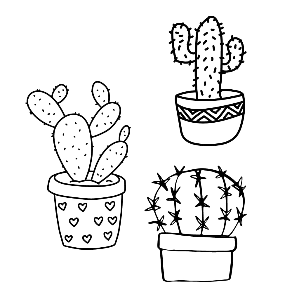 desenho de cacto em eva