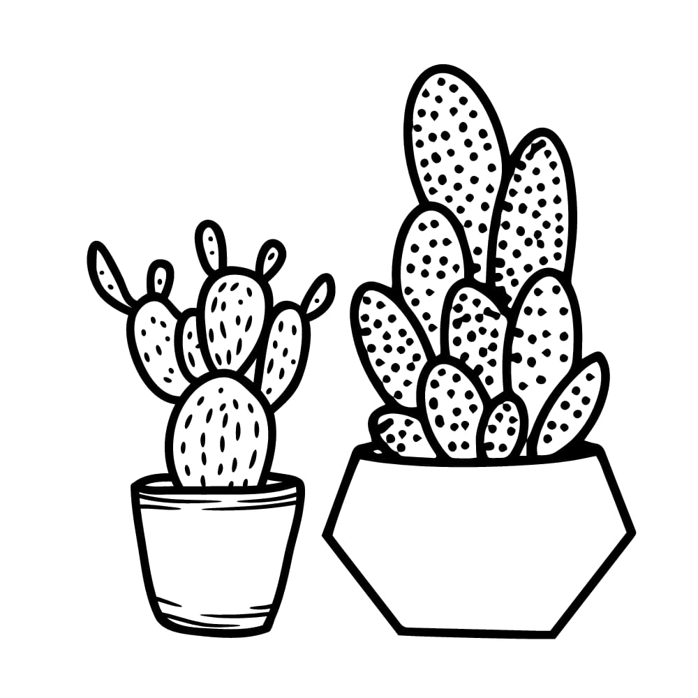 desenho do cacto