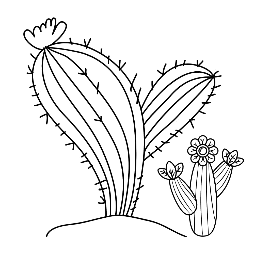 desenho de um cacto grande