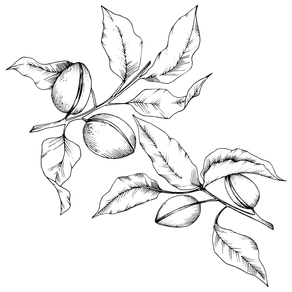 Árvores frutíferas