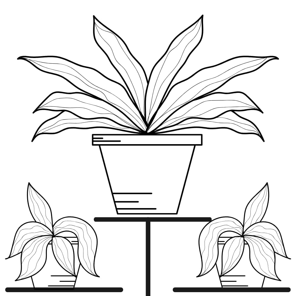 desenho plantas png