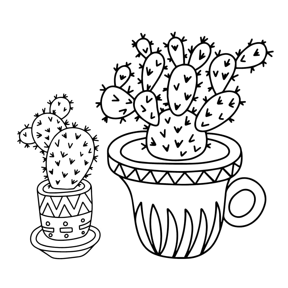 desenhos de cacto 