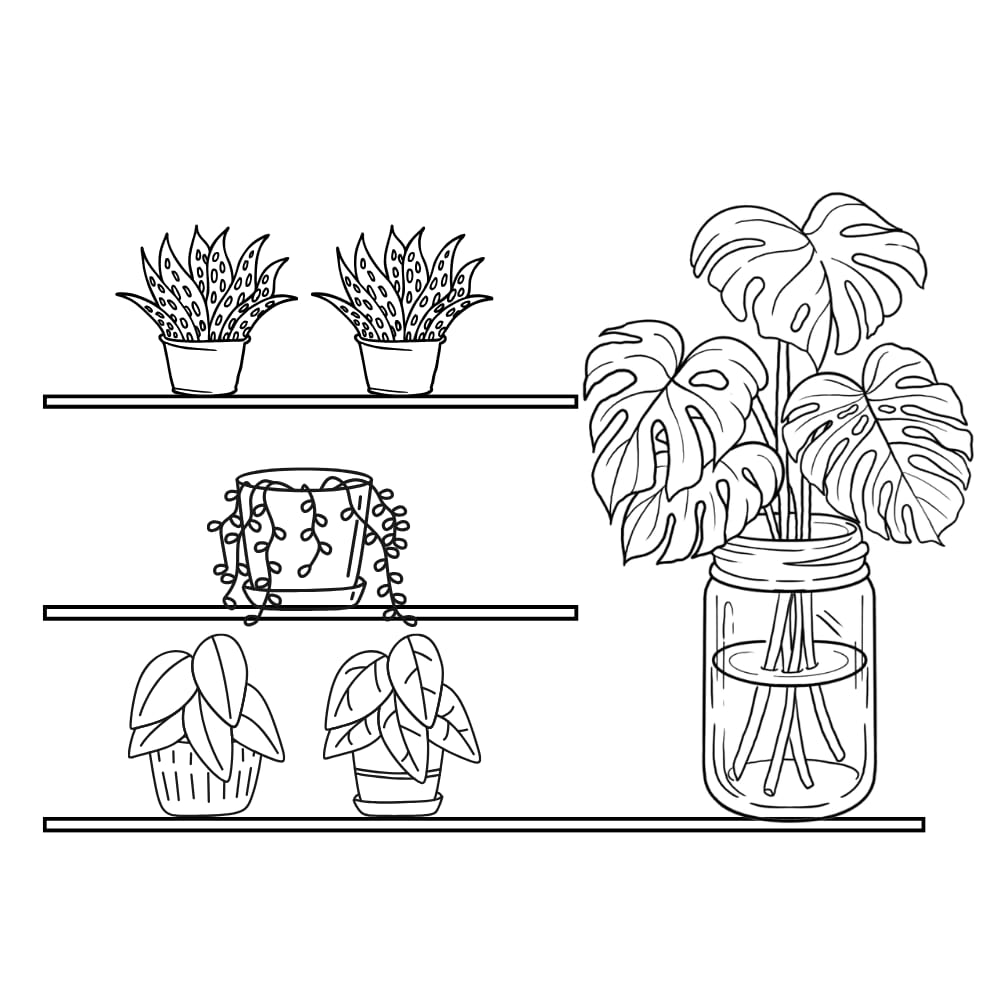 plantas ornamentais