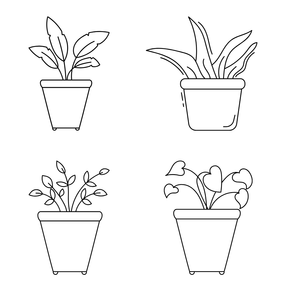 desenho de uma planta