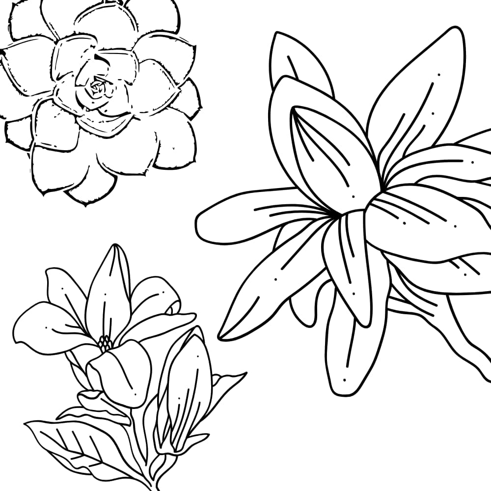 flores em preto e branco