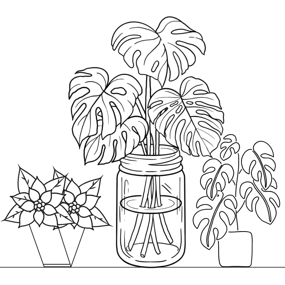 desenhos de plantas para colorir e imprimir