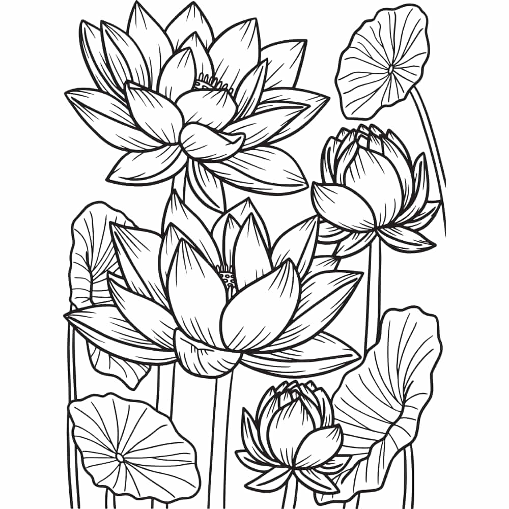 plantas para desenhar