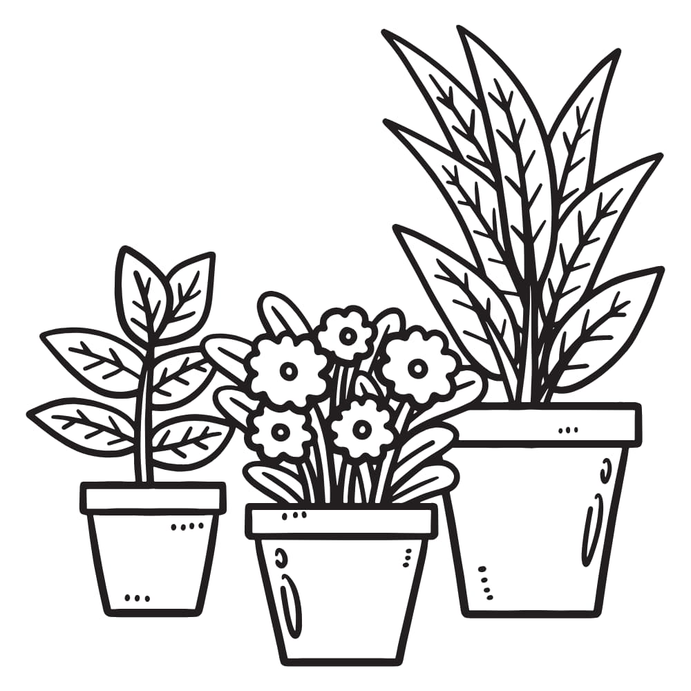 vasinhos de plantas