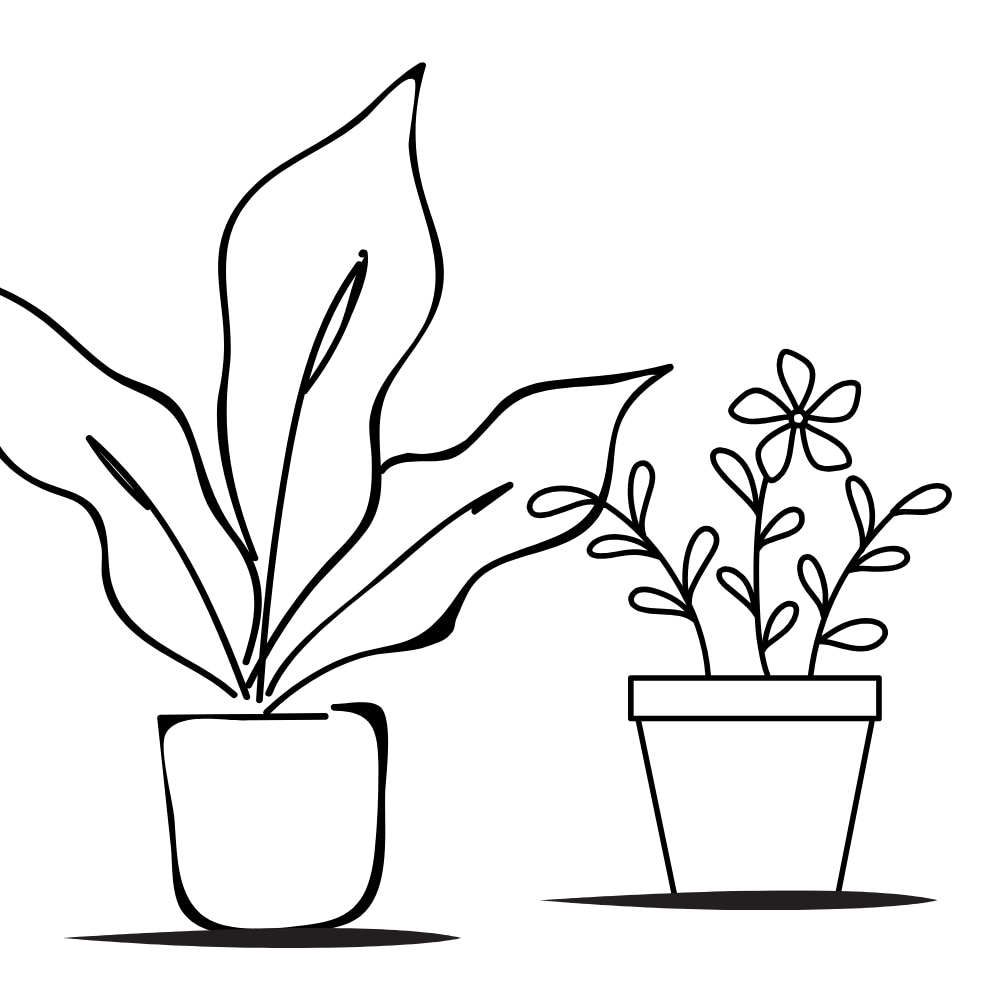 desenhos de plantas para colorir
